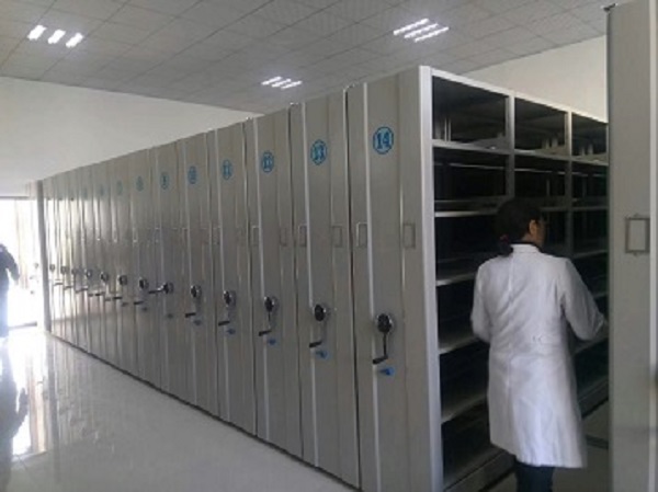 檔案好色先生TV视频架